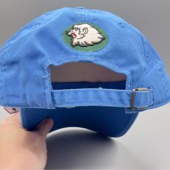 American Needle Seibu Lions Japanese Baseball Hat Blue Gray NWT Adjustable Cap - Picture 9 of 16